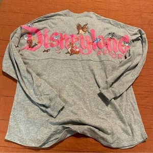 Disney spirit jersey